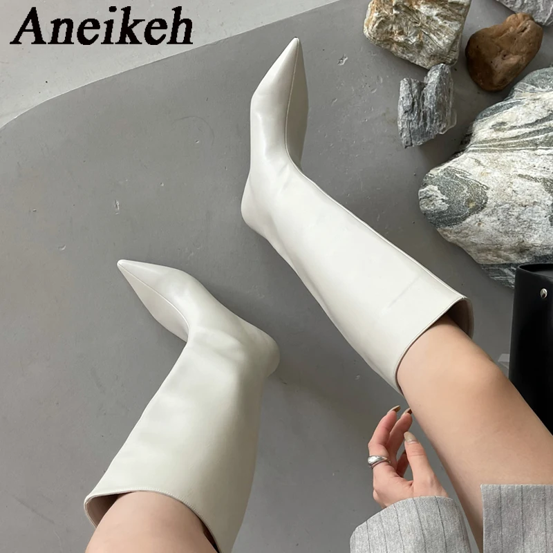Aneikeh 2027 Fashion Sexy Poin - огляд і ціна Women'S Fashion Knee High Boots
