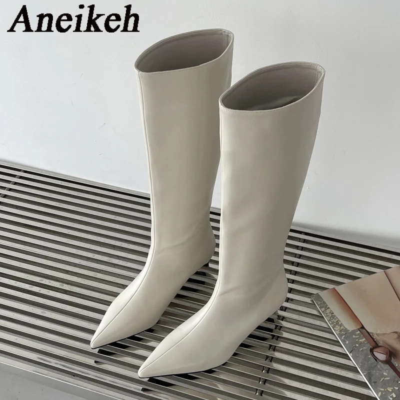 Aneikeh 2027 Fashion Sexy Poin - огляд і ціна Women'S Fashion Knee High Boots