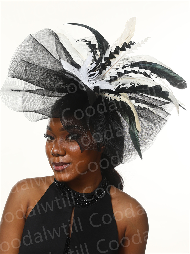 Black And White Derby Fascinat - огляд і ціна Women'S Fashion Kentucky Derby